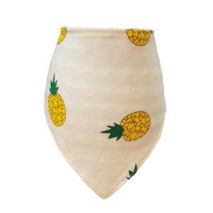 pineapple punch bib